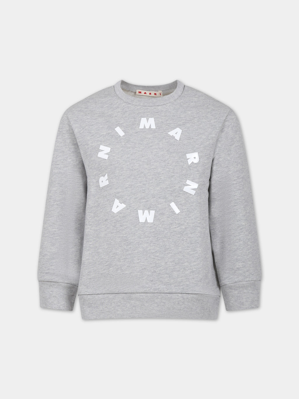 Grey sweatshirt for kids with logo